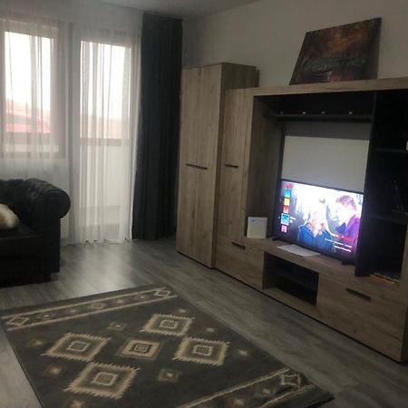 Ilinca-Zgatia Apartment Piatra Neamţ Екстериор снимка