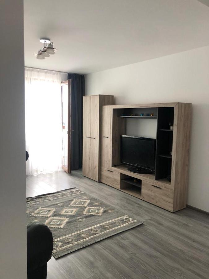 Ilinca-Zgatia Apartment Piatra Neamţ Екстериор снимка